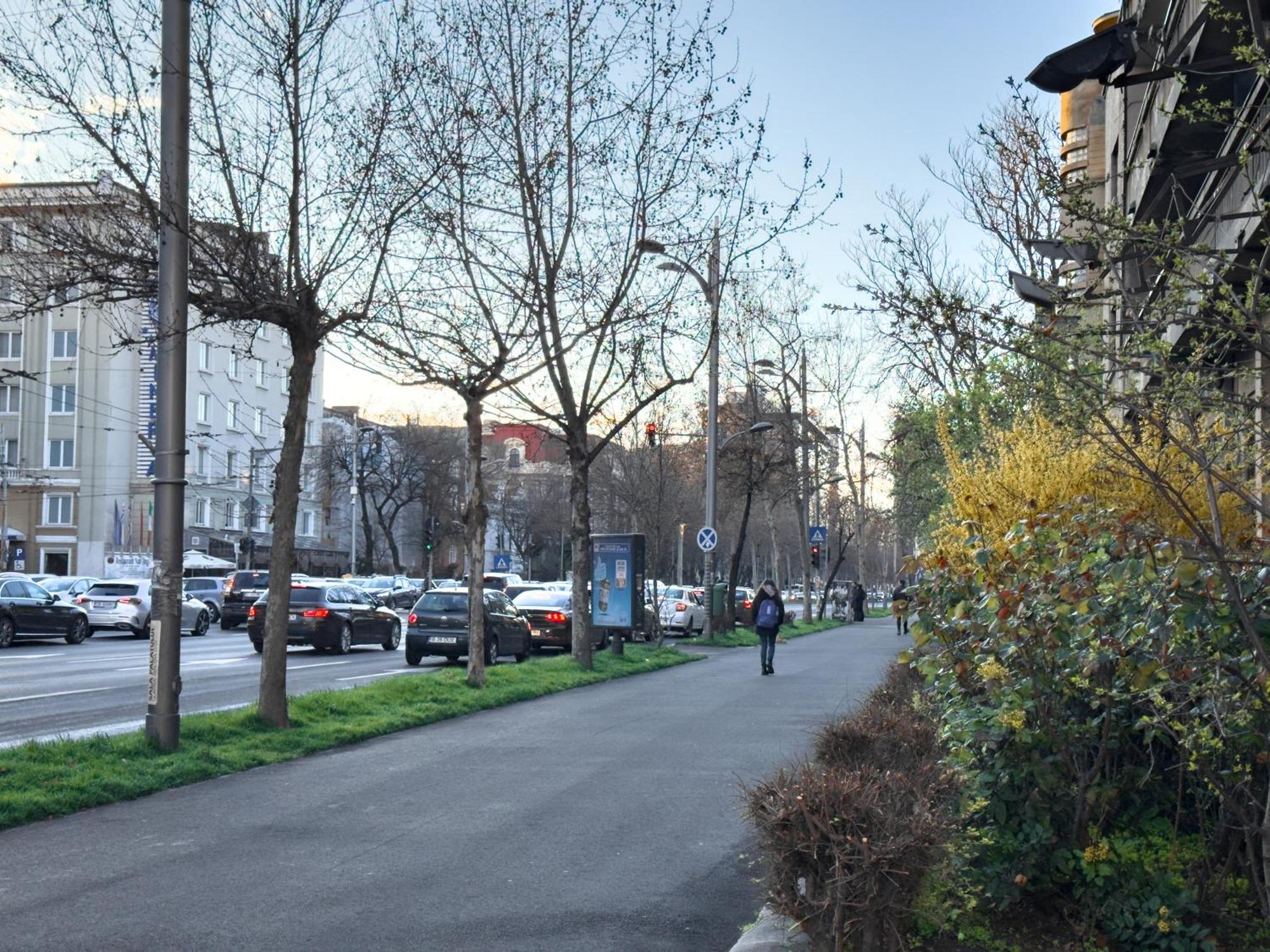 Central Retreat Apartments Bucureşti Ngoại thất bức ảnh